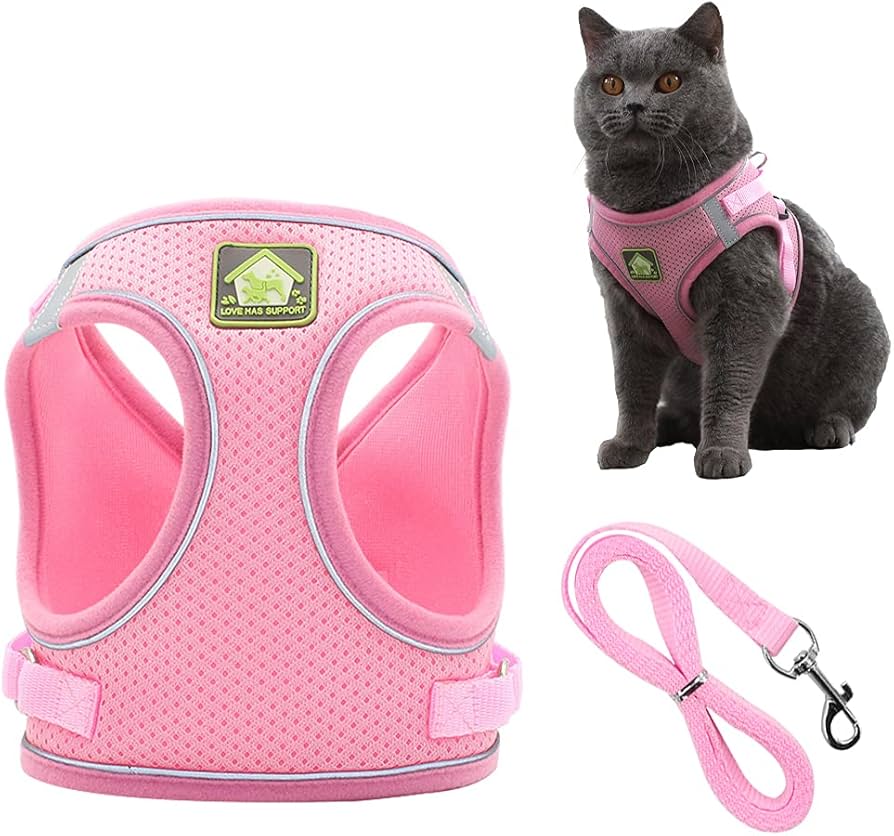 Pet Harness and Matching Leash 1 Pet Harness and Matching Leash