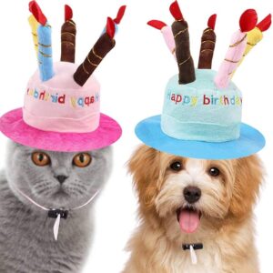 Happy Birthday Candle Hat