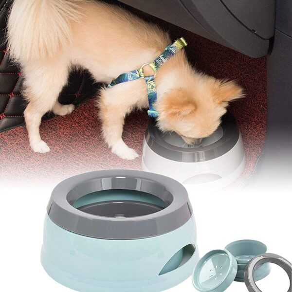 Anti Spill Feeder