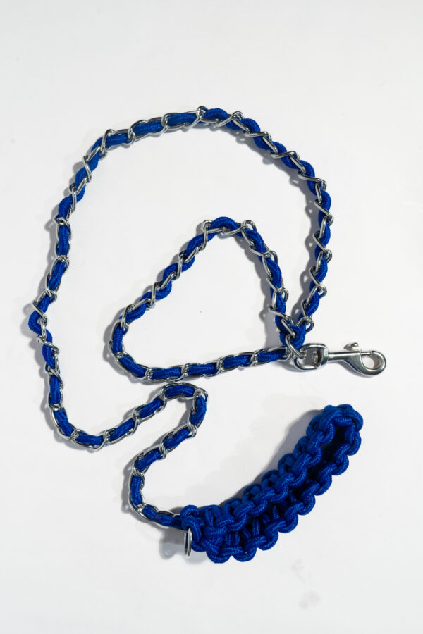 Braided Leash and Collar - Image 2