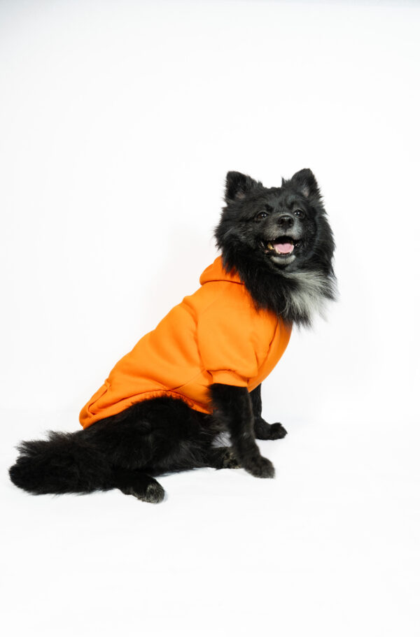 Pet Hoodie - Image 2