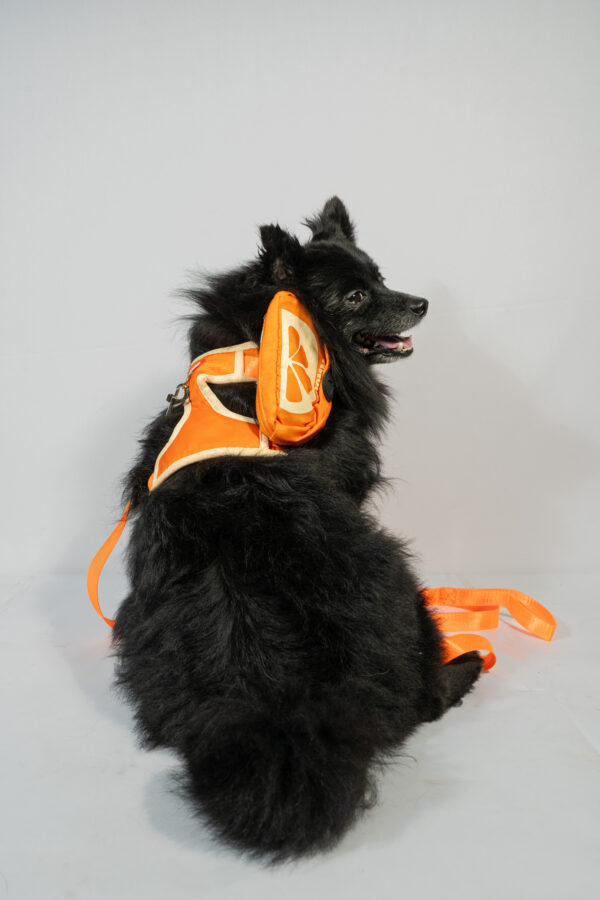 Cute Fruit-Themed Cat Harness With Detachable Backpack - Image 3