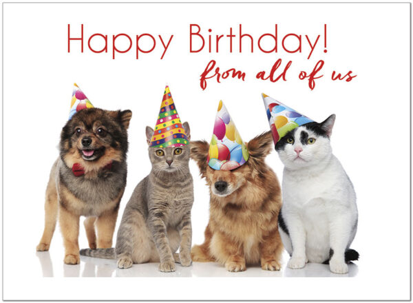 Happy Birthday Series 3 - Image 2