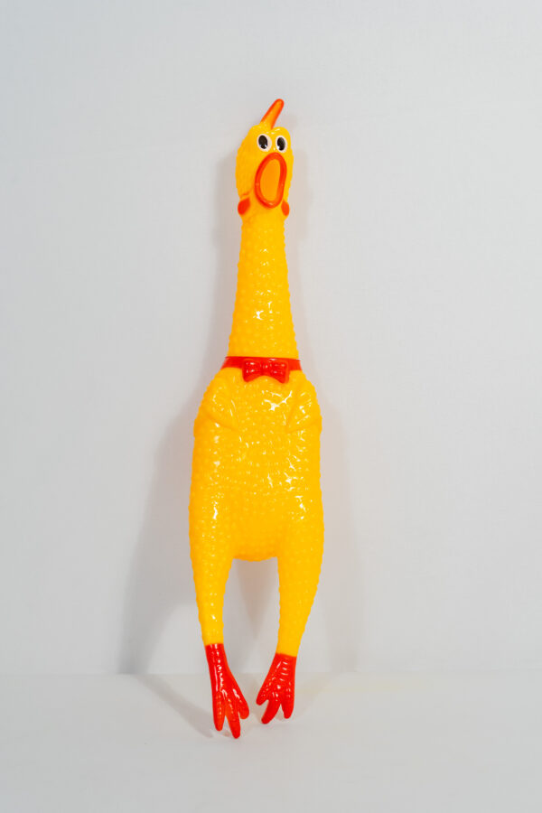 SQUEAKY HEN TOY