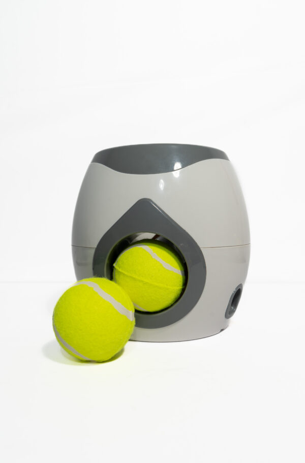Ball Thrower - Image 3
