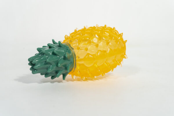 Fruit Chew Toy for Dogs - Image 3
