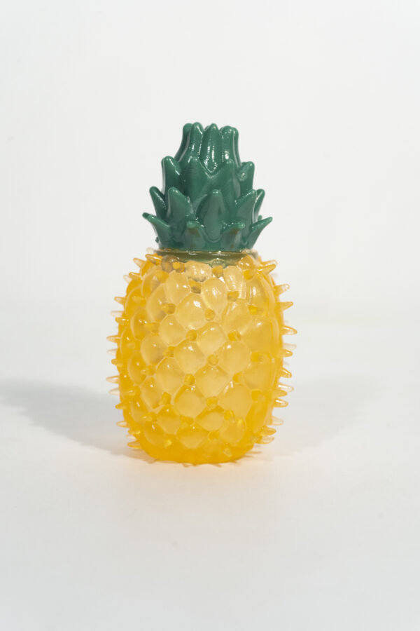 Fruit Chew Toy for Dogs - Image 4