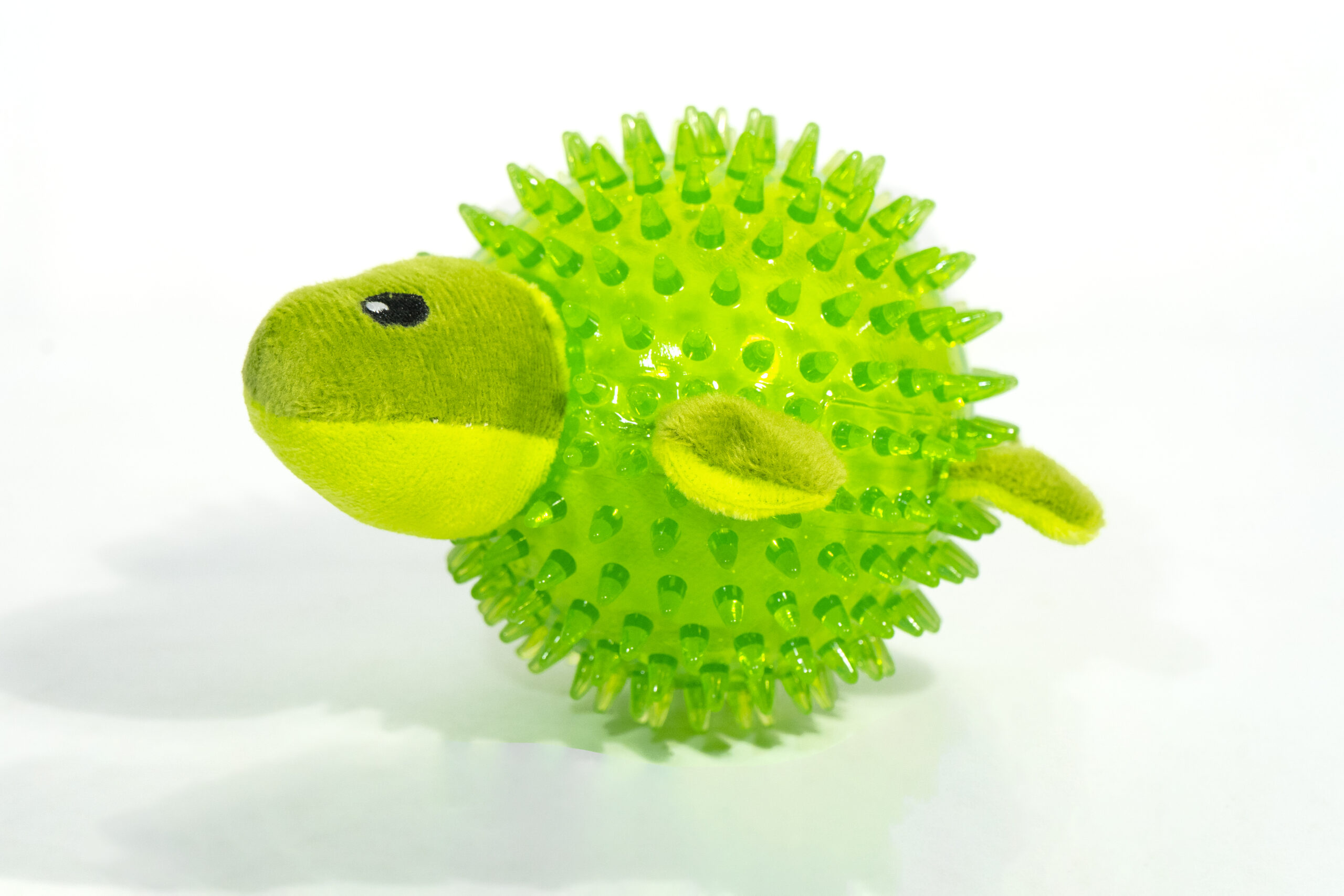 Turtle Ball And Plush Toy 2 Turtle Ball And Plush Toy - Image 2