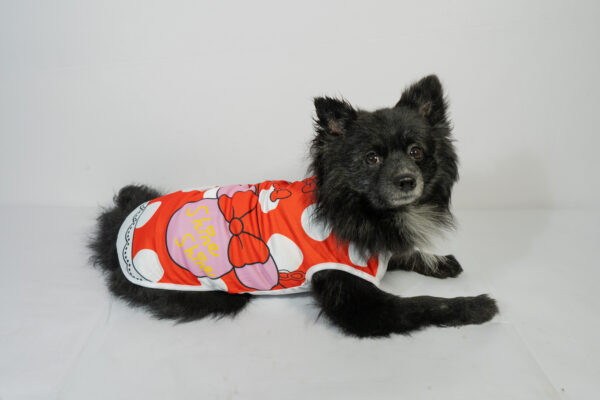 Pet Colorful Vests - Image 5