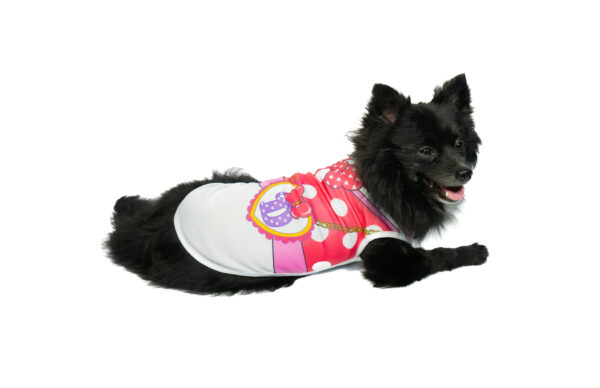 Pet Colorful Vests - Image 6