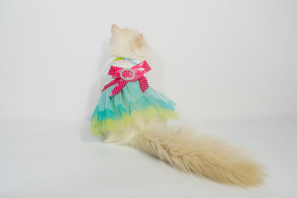 Pet Colorful Frocks - Image 3