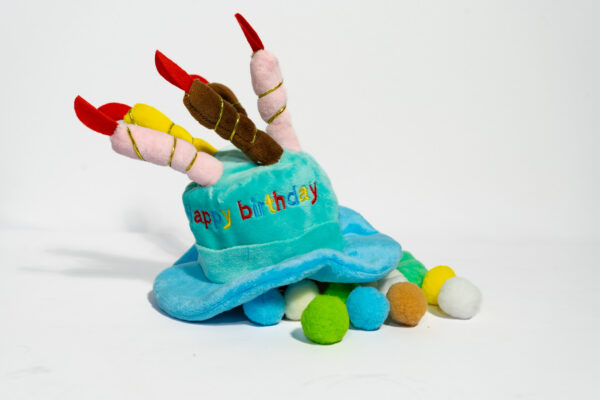 Happy Birthday Candle Hat - Image 2