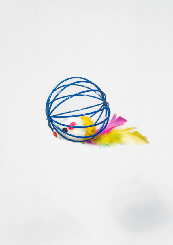 CAT MOUSE IN A BALL