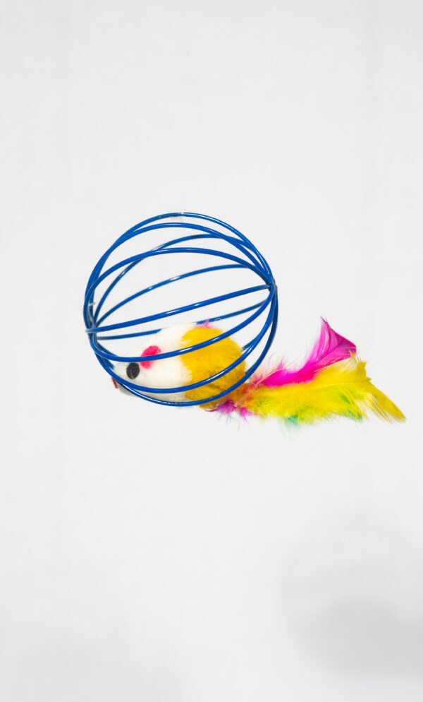 CAT MOUSE IN A BALL - Image 3