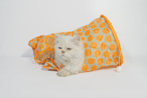 CAT PLAY BED - Image 2