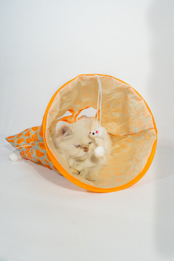 CAT PLAY BED - Image 4