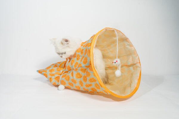 CAT PLAY BED - Image 5