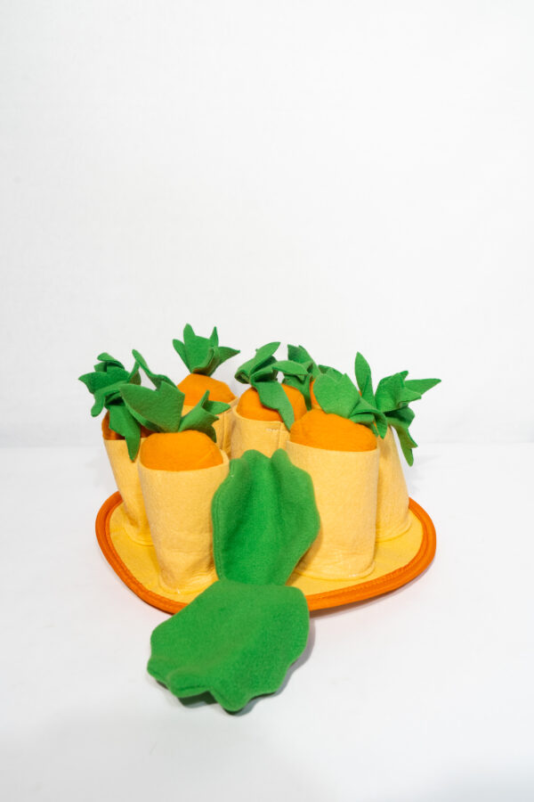Leaky Pet Toys-Carrot