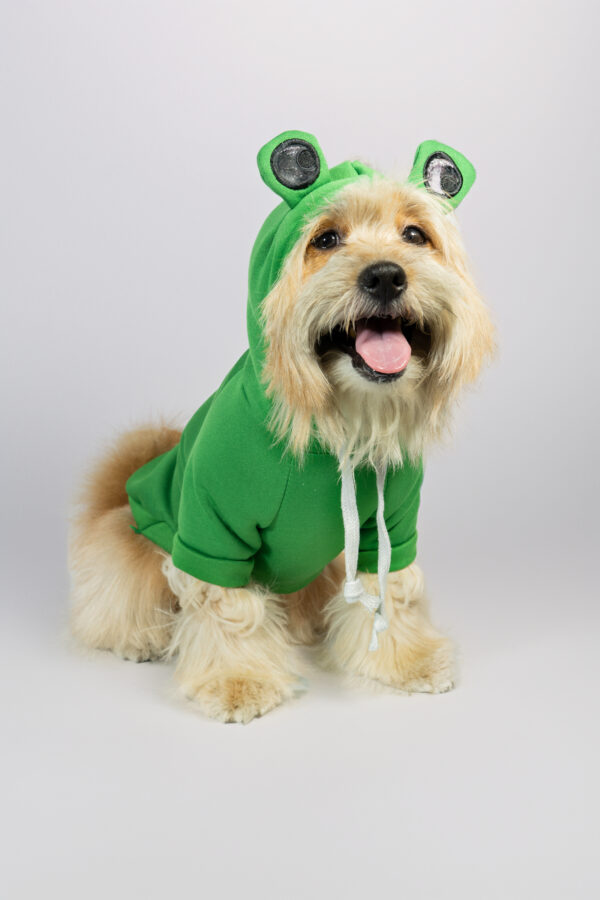Pet Funny Hoodies