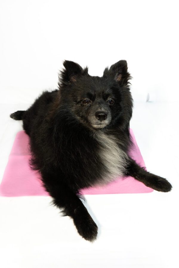Pet Cooling Mat