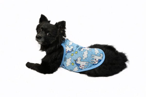 Pet Colorful Vests - Image 2