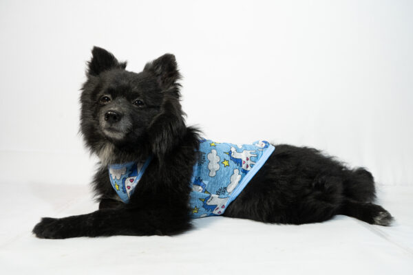 Pet Colorful Vests - Image 3