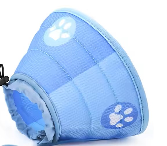 Elizabethan Circle 1 Elizabethan Circle