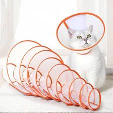 Elizabethan Circle 1 Elizabethan Circle