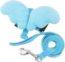 Pet Leash And Wings 3 Pet Leash And Wings - Image 3