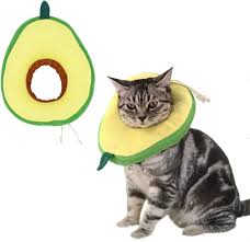 Pet Avocado Collar 4 Pet Avocado Collar - Image 4