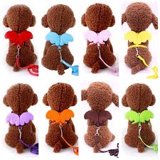 Pet Leash And Wings 1 Pet Leash And Wings