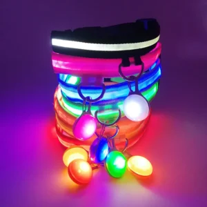 LED COLLAR WITH PENDANT LIGHT