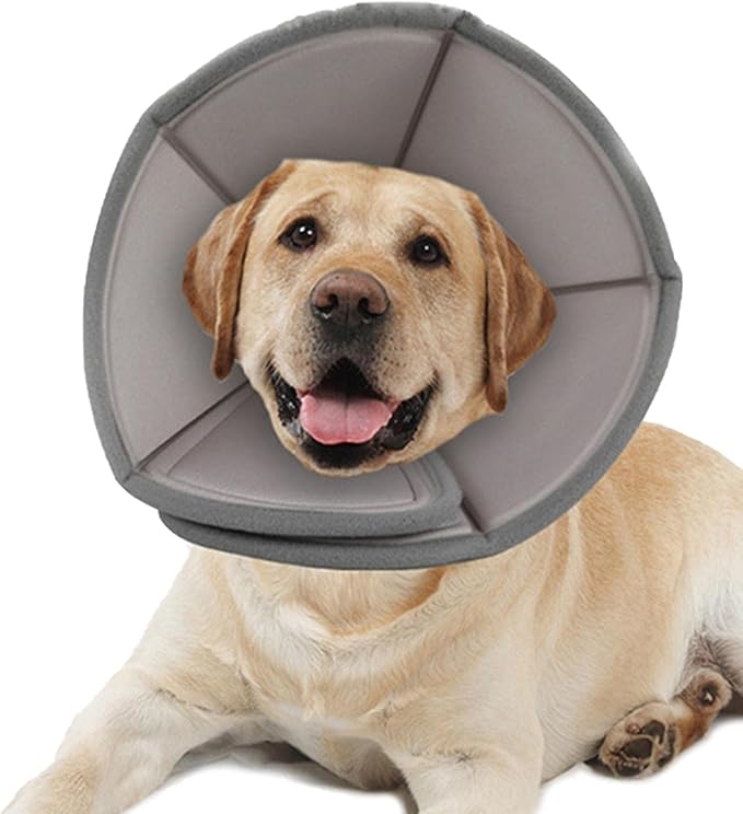 Pet Cone Recovery Collar After Surgery Pet Protective Collar 5 Pet Cone Recovery Collar After Surgery Pet Protective Collar - Image 5