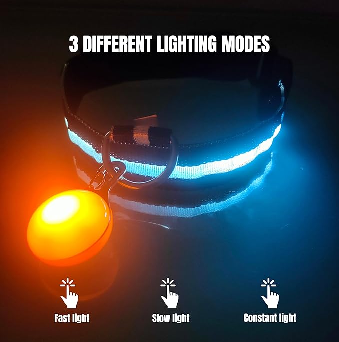 LED COLLAR WITH PENDANT LIGHT 4 LED COLLAR WITH PENDANT LIGHT - Image 4