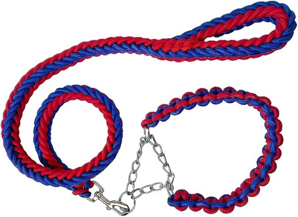 DOUBLE BRAIDED LEASH AND COLLAR