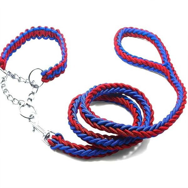 DOUBLE BRAIDED LEASH AND COLLAR - Image 4