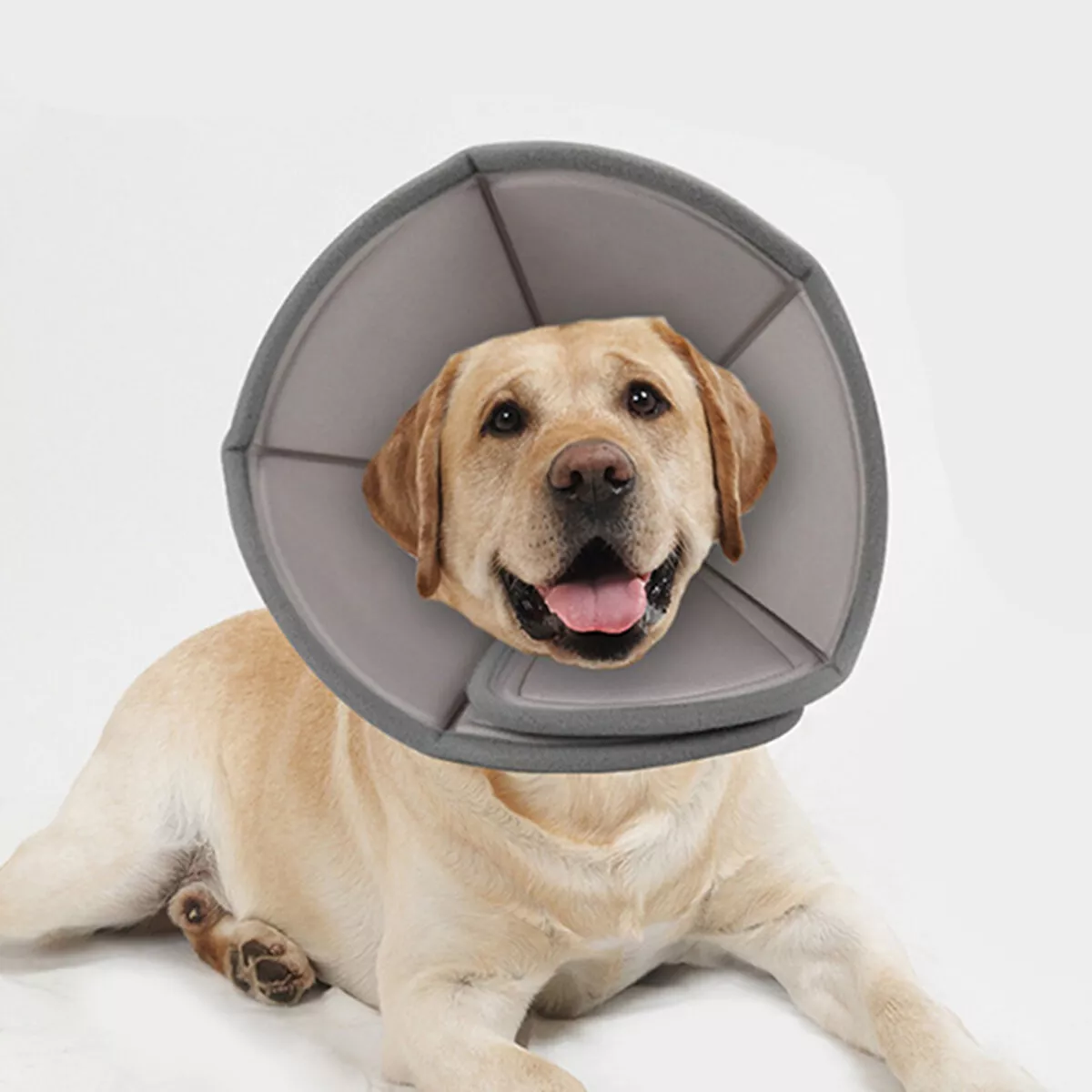 Pet Cone Recovery Collar After Surgery Pet Protective Collar 3 Pet Cone Recovery Collar After Surgery Pet Protective Collar - Image 3