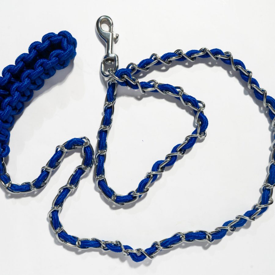 Braided Leash and Collar