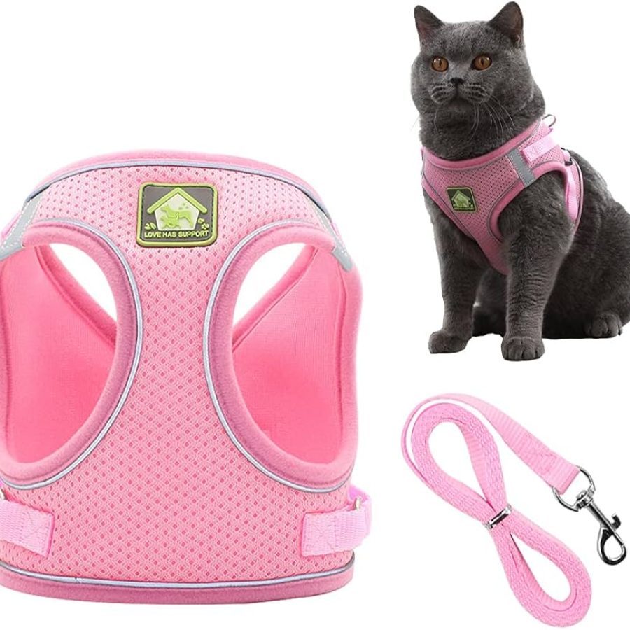 Pet Harness and Matching Leash