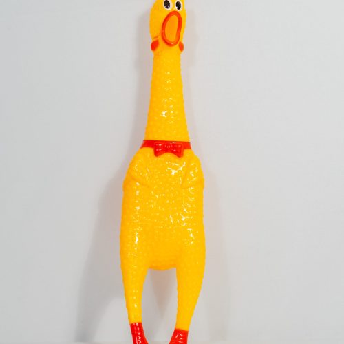 SQUEAKY HEN TOY
