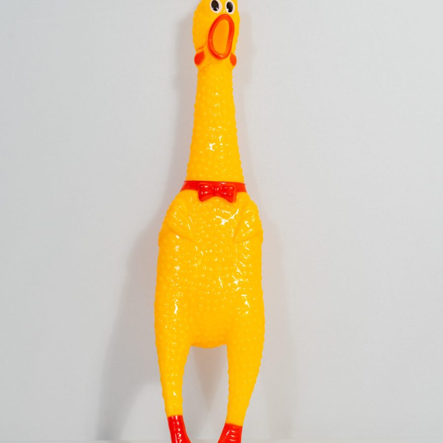 SQUEAKY HEN TOY
