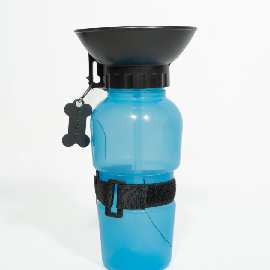 Water Carrier Travel