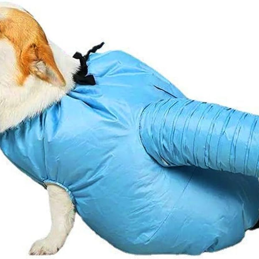 Portable Quick Drying Pet Bag for Dogs & Cats – Easy Hair Drying & Grooming, Professional Pet Grooming Supplies