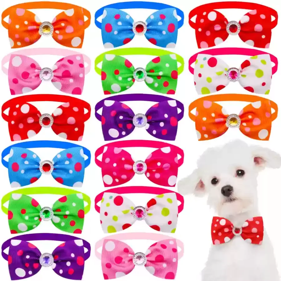Colourful Bowtie