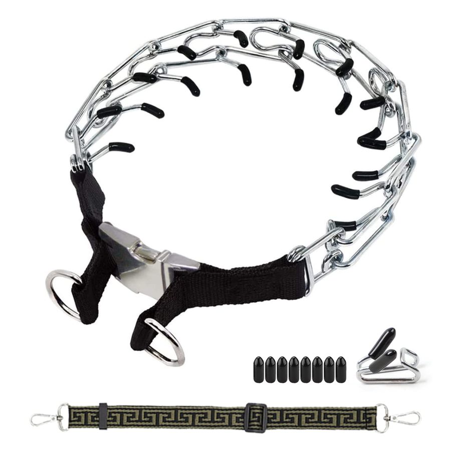 Prong Collar