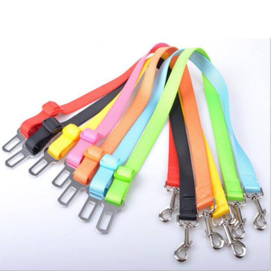 Seat Belt Leash