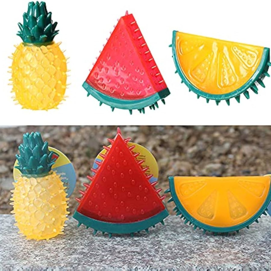 Fruit Chew Toy for Dogs