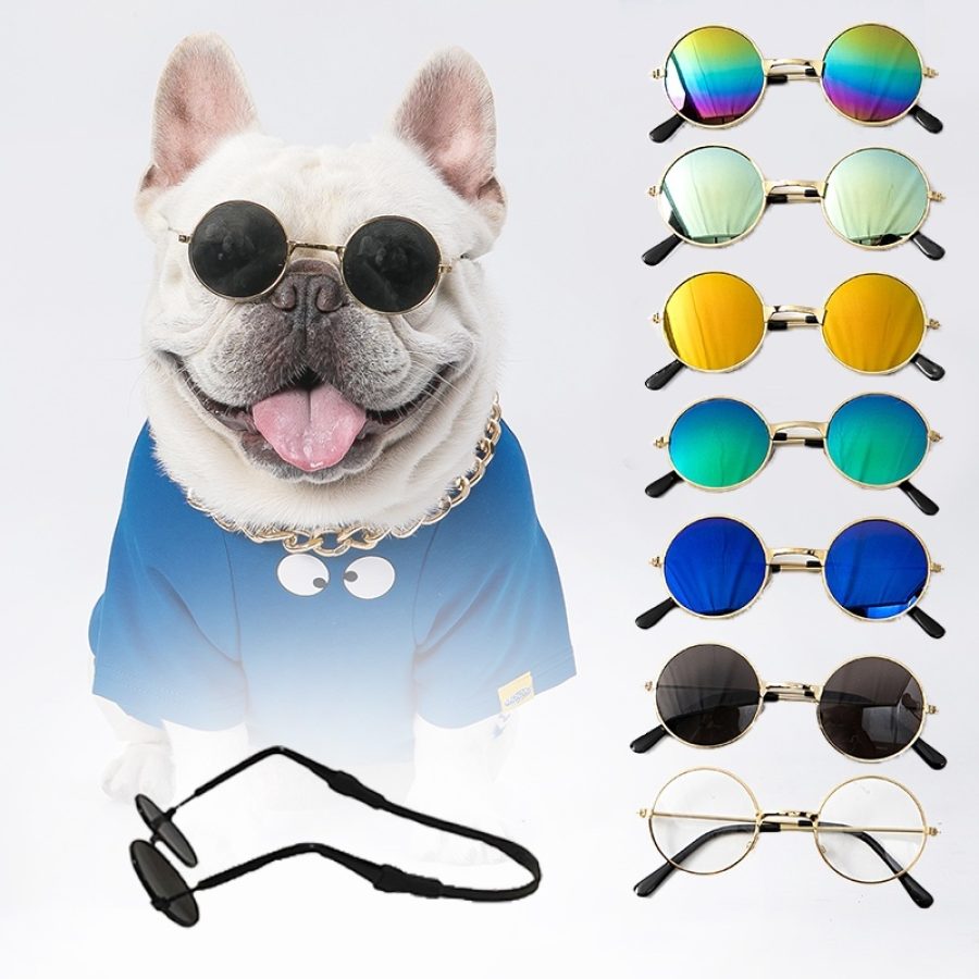 Sunglasses Multicolour