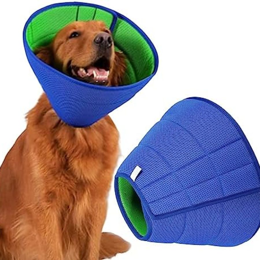 Blue Elizabeth Collar
