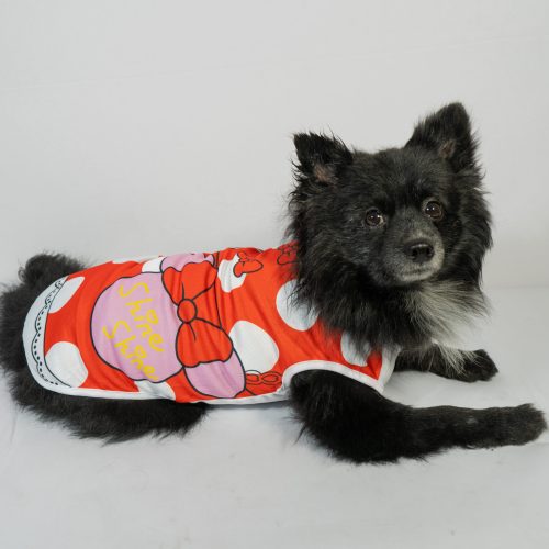 Home 16 Dog Summer Vest